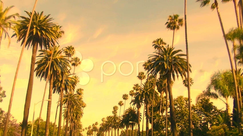 Beverly Hills 90210 1080P, 2K, 4K, 5K HD Wallpapers Free, 46% OFF