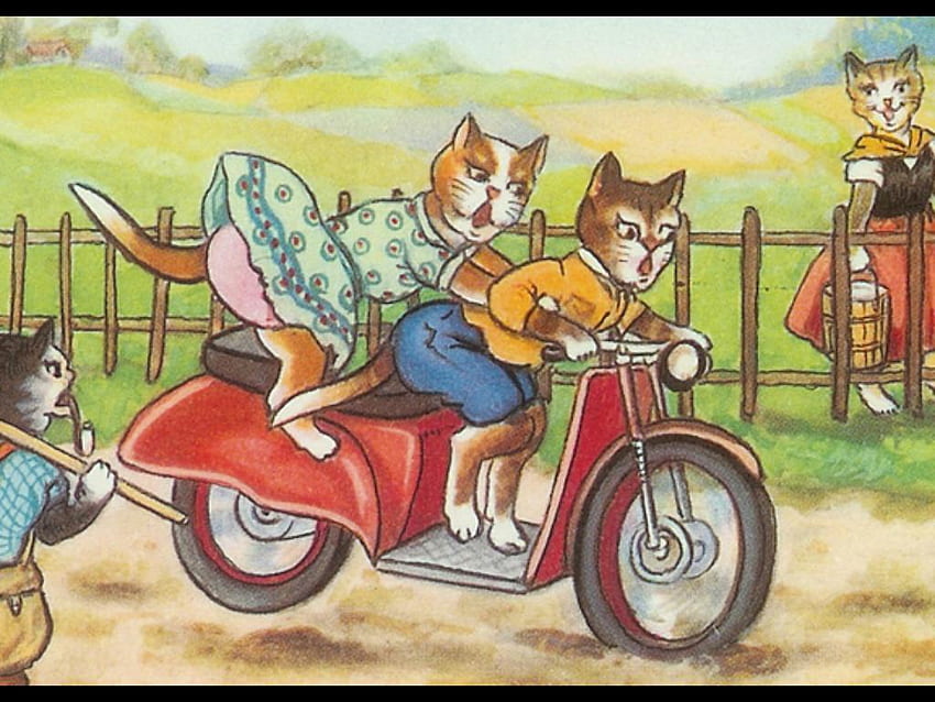 Hang On!, cats, ride, scooter, postcard HD wallpaper
