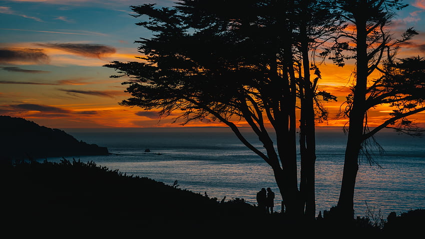 พระอาทิตย์ตก ทะเล มืด ไม้ ต้นไม้ เงา วอลล์เปเปอร์ HD