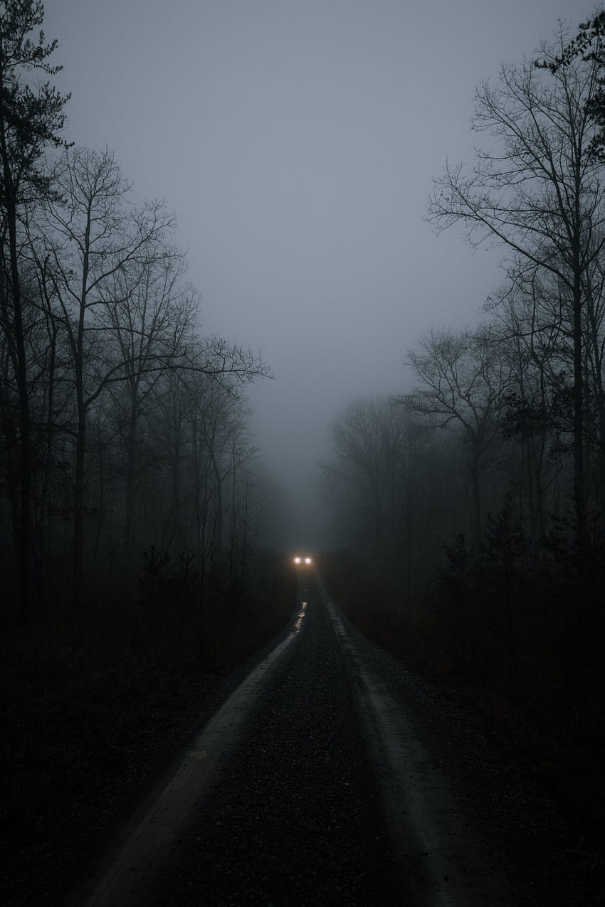 Дървета, светлини, тъмно, път, мъгла, кола, фарове HD тапет за телефон