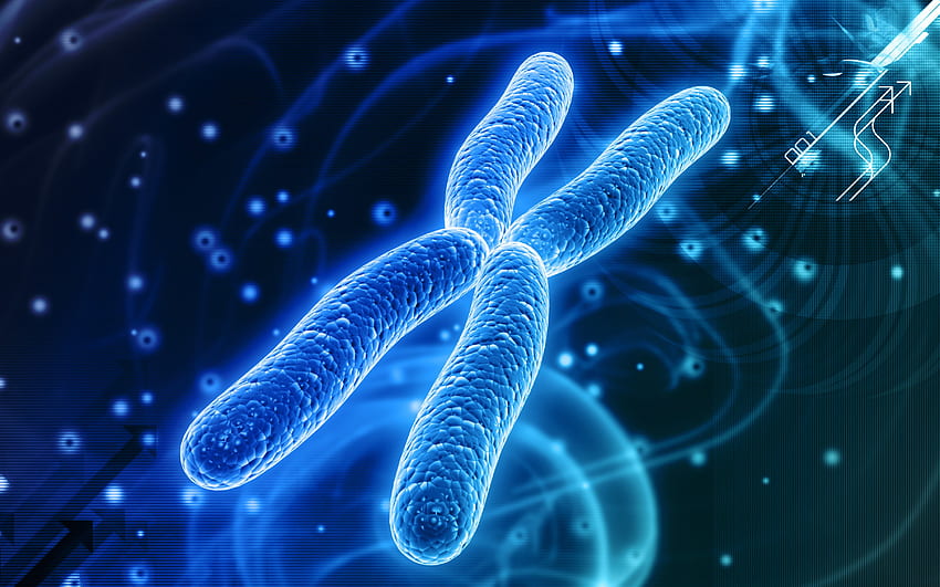 染色体。 染色体、染色体 PowerPoint の背景と染色体黒、DNA 高画質の壁紙