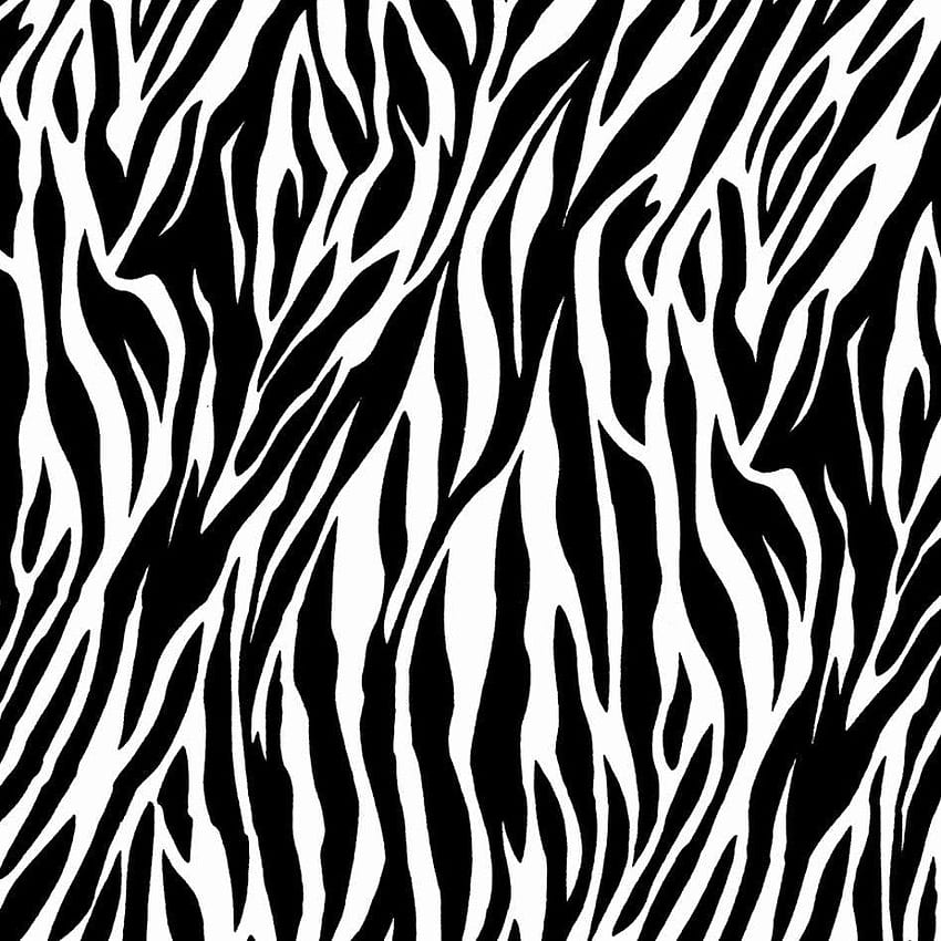 Black and white zebra print HD wallpapers