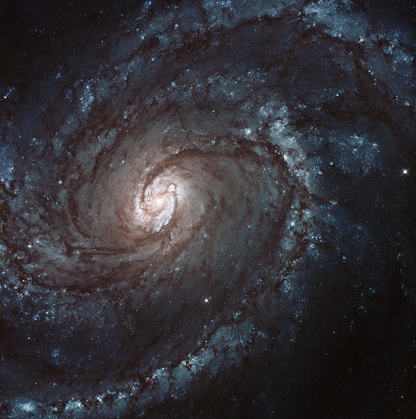 Universe, Nebula, Galaxy, Spiral HD phone wallpaper