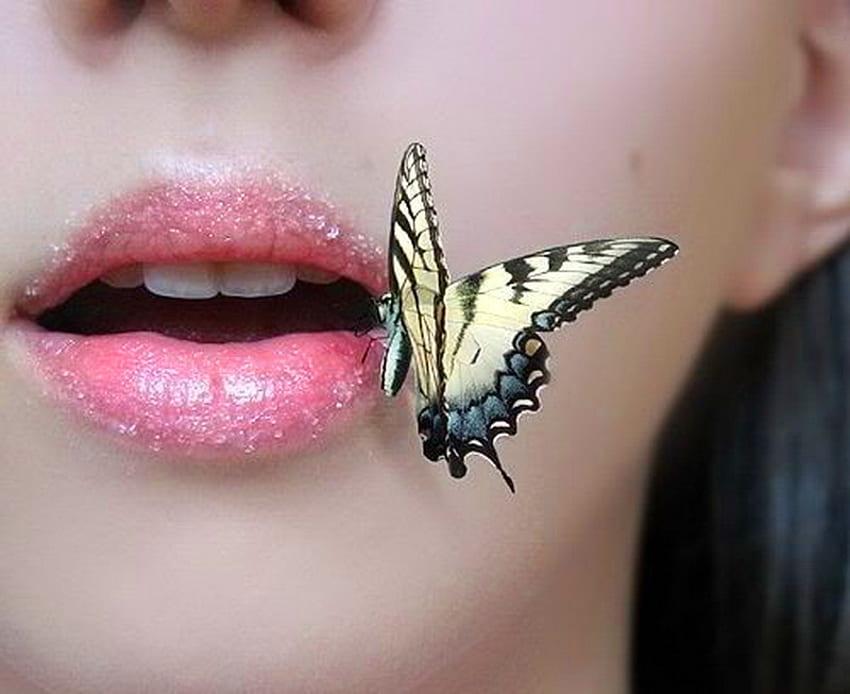 Besos de mariposa, rosa, mariposa, labios, cola de golondrina, amarillo y negro, mujer fondo de pantalla