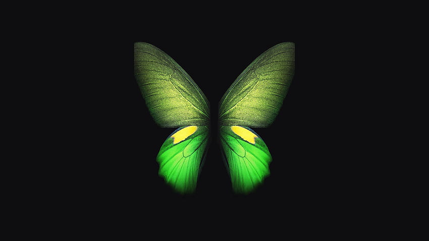 Samsung Galaxy Fold Green Butterfly HD wallpaper