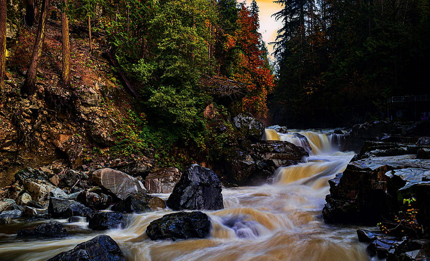 Granite Falls Washington, valley, river, cascades, trees, mountains, usa HD wallpaper