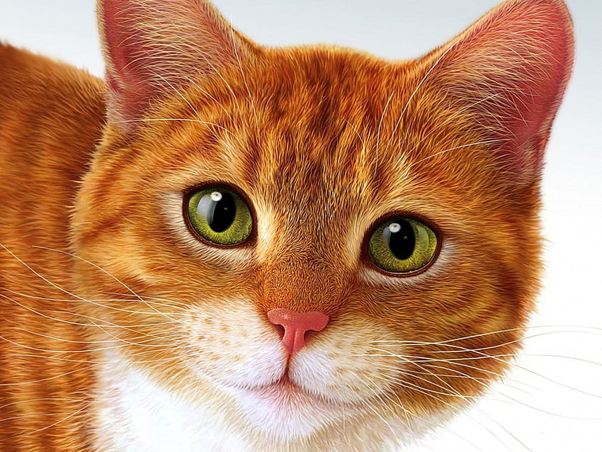 Kot, kotek, zwierzę, rysunek, kiciuś, render, ładny, miękki, futrzany, pomarańczowy, zwierzęta domowe, 3D Tapeta HD