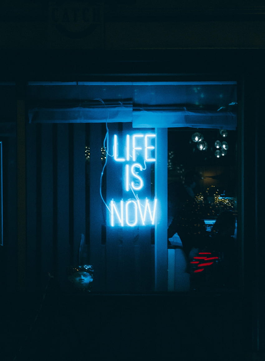 Words, Neon, Life, Text, Motivation HD phone wallpaper