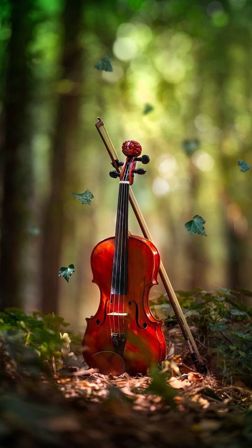 Geige, Geige HD-Handy-Hintergrundbild