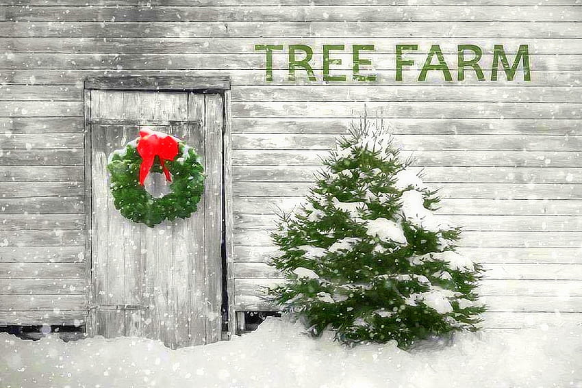 Holiday Tree Farm, inverno, arquitetura, férias de inverno, atrações nos sonhos, quatro estações do amor, natal, neve, fazendas, natal e ano novo papel de parede HD