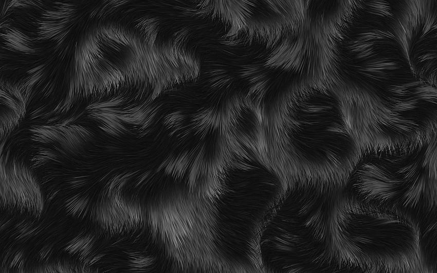 Schwarzes Fell Textur, Makro, Tierfell, braunes schwarzes Fell, schwarzer Fellhintergrund, Nahaufnahme, schwarzer Hintergrund, Felltexturen für mit Auflösung. Gute Qualität HD-Hintergrundbild