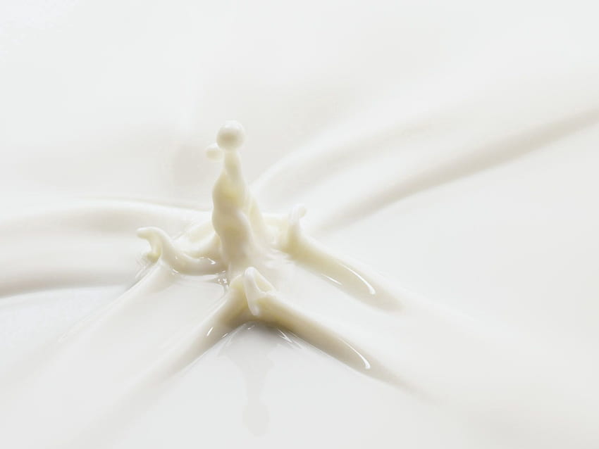 Macro, Liquid, Milk HD wallpaper
