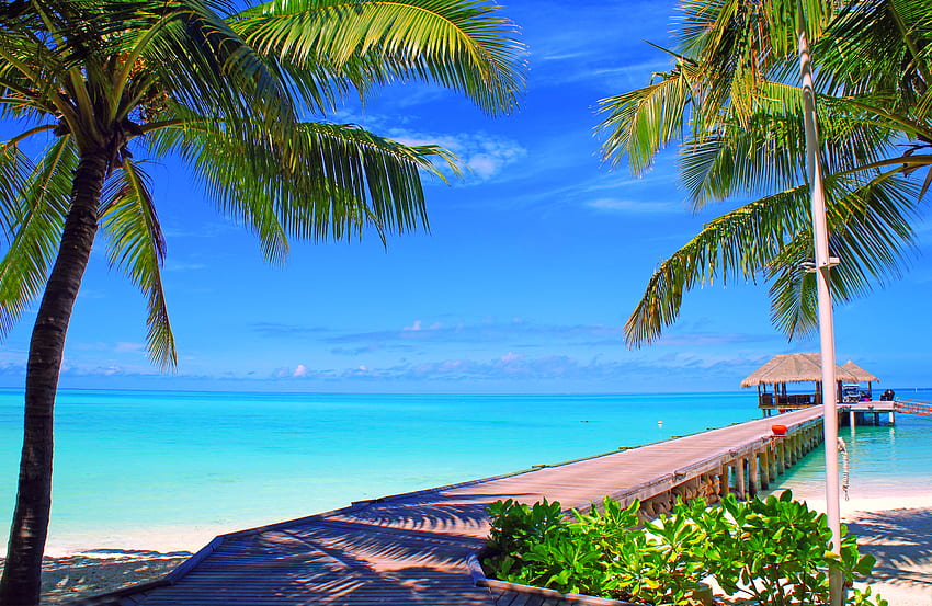 Océano, Naturaleza, Cielo, Mar, Nubes, Palmas, Isla, Maldivas, Bungalow fondo de pantalla