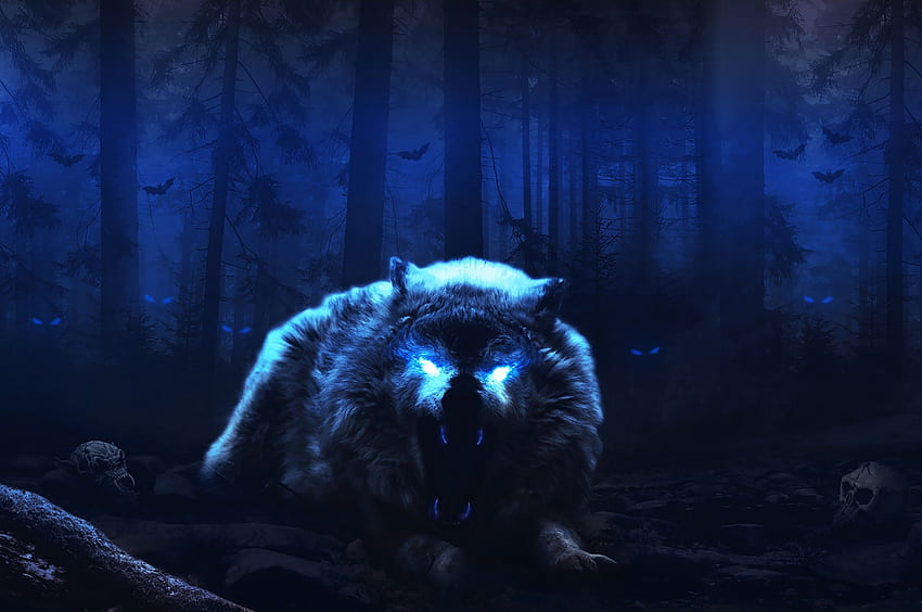 White Wolf, Scary, Night, Dark Forest, Monster na Chromebooka Pixel Tapeta HD
