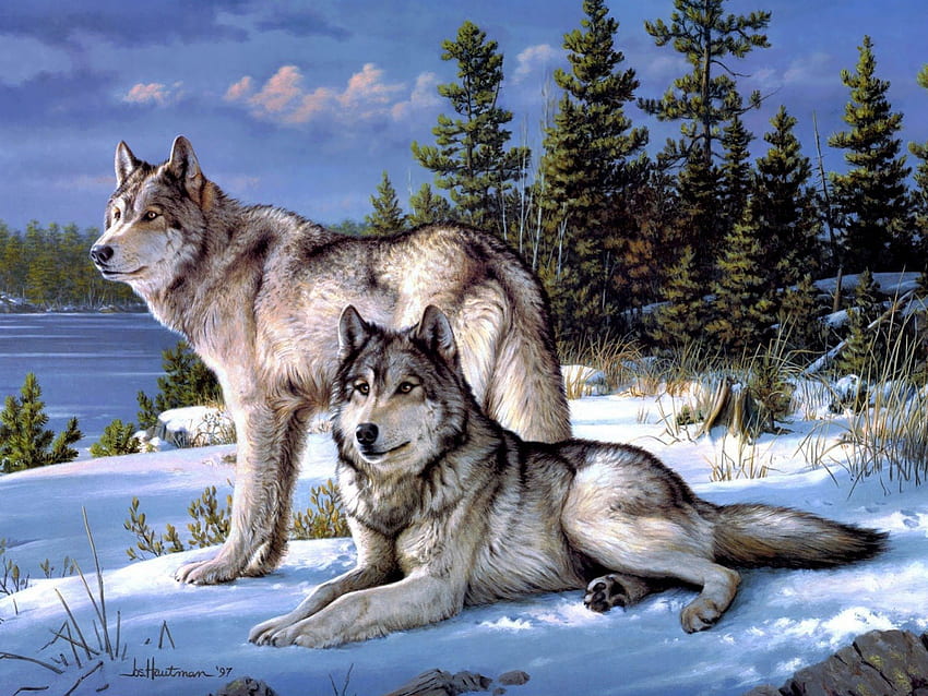pair of wolves in the snow, pair, wolves, animals, snow HD wallpaper