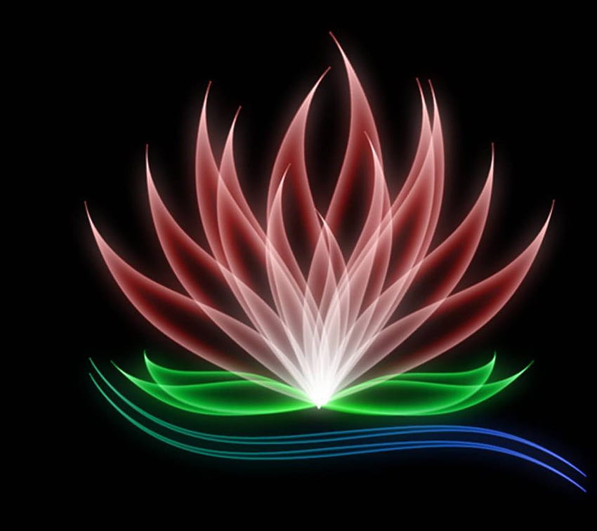 Glowing Lotus Neon Lotus Hd Wallpaper Pxfuel 8973