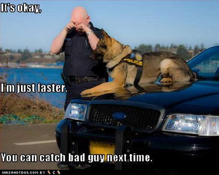POLICEMANS BEST FRIEND, dog, sad, crying, cop HD wallpaper