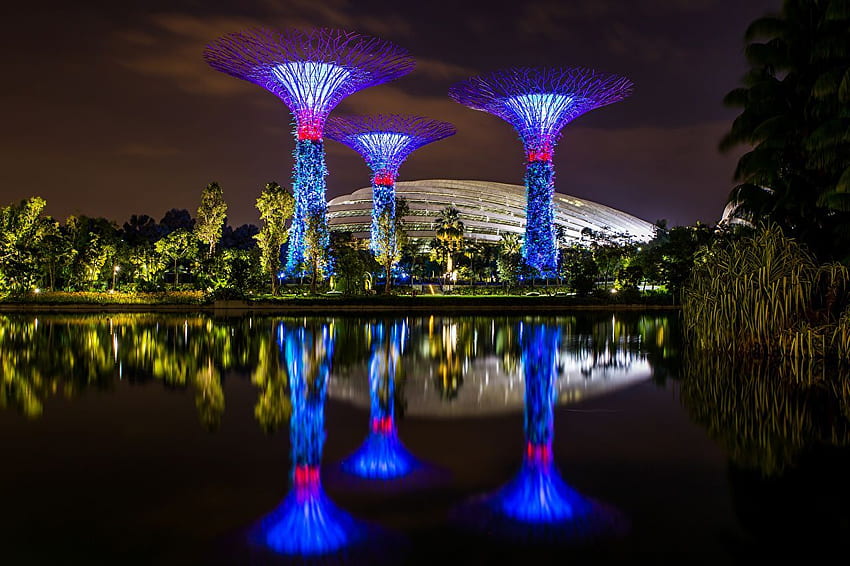 Singapore Gardens by the Bay Nature Pond Reflection, Singapore Night HD wallpaper