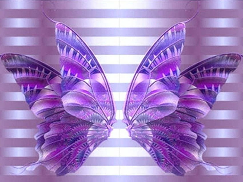 버터플라이 키스, 자주색 줄무늬, 나비 날개 HD 월페이퍼