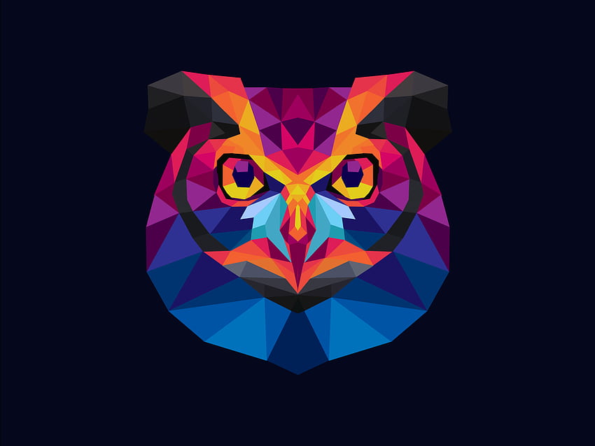 The Owl by Sam Vector on Dribbble, Owl Geometric HD wallpaper