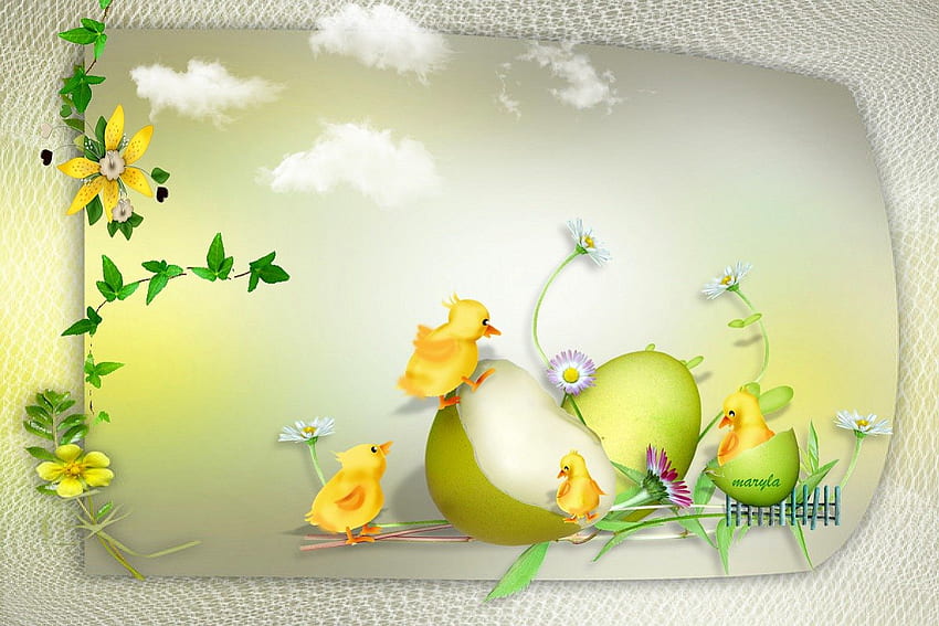 wielkanoc, kurczak, kaczka, kura, wiosna, kwiat, 2013, żółty, przyroda, kwiaty Tapeta HD