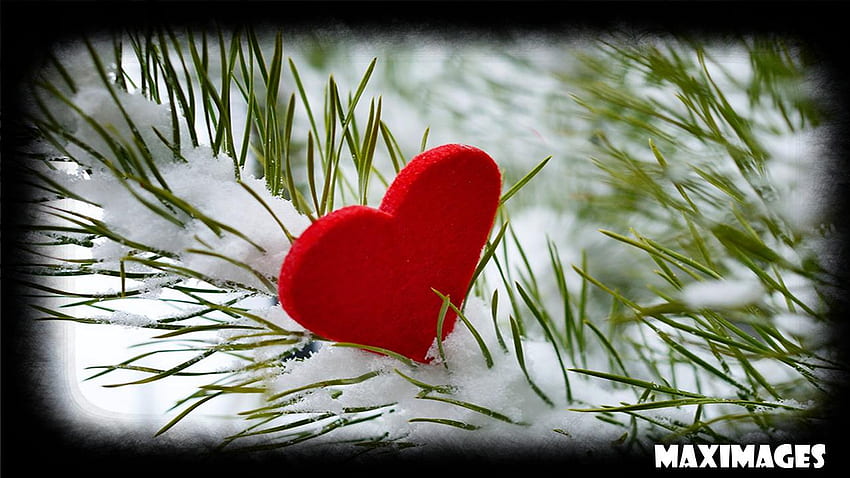 Winter Love for Android HD wallpaper | Pxfuel