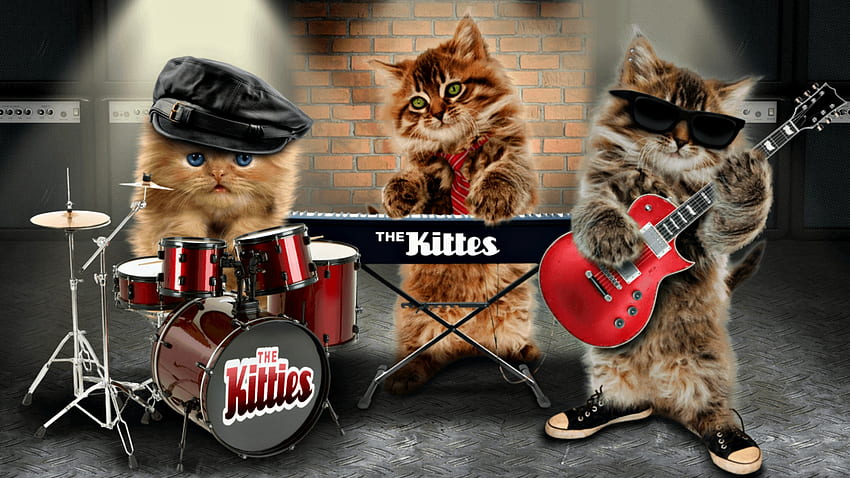 The Kittes, gattino, tamburo, chitarra, carino, gatto, banda, pisica, creativo, musica, fantasia, occhiali da sole, rosso, divertente, strumenti, cappello Sfondo HD