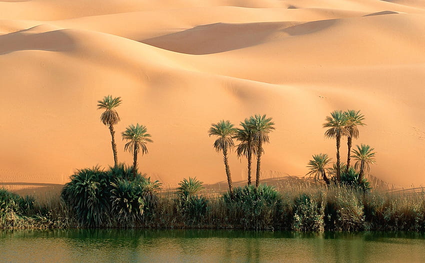 Cool Desert Oasis New Background HD wallpaper