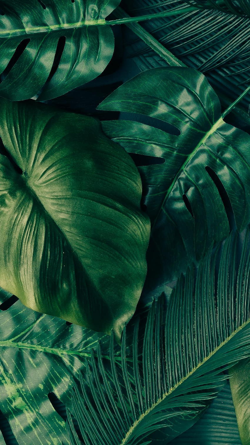Solstice Tropical Leaf Wallpaper Green | Fine Decor Wallpaper | Decorating  Centre Online