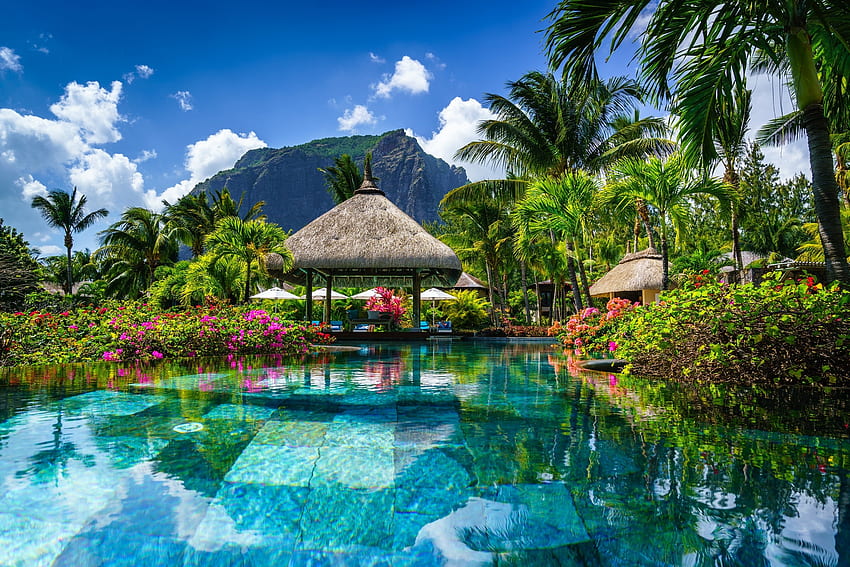 Pulau Mauritius, Kolam renang, Pohon palem, Resor mewah, Gunung Wallpaper HD