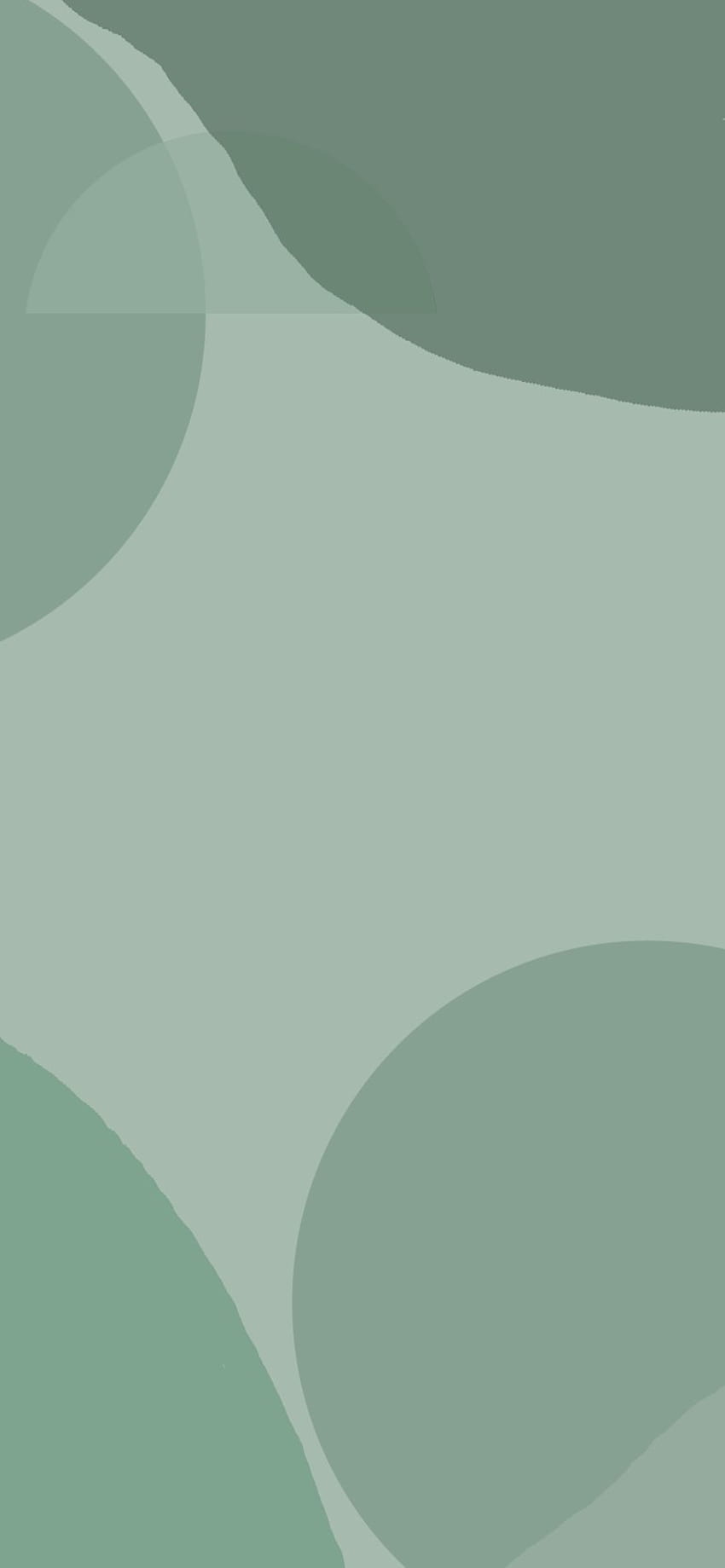 Sage Green Aesthetic: Бохо абстрактен Sage Green фон - Идея, iPhone, Цветови схеми, Зелена минималистична естетика HD тапет за телефон