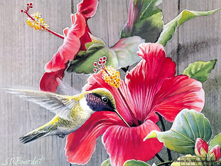 Bird painting4, painting, bird, art, flower, nature HD wallpaper
