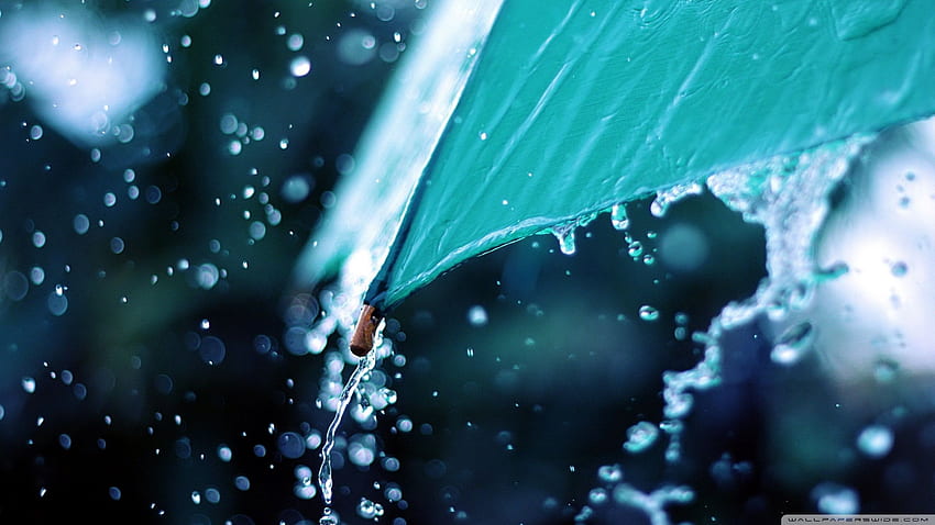 Rain Drops Over Umbrella ❤ for Ultra HD wallpaper