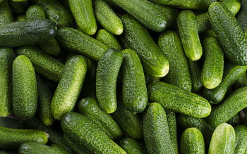 Download Latest HD Wallpapers of  Food Cucumber