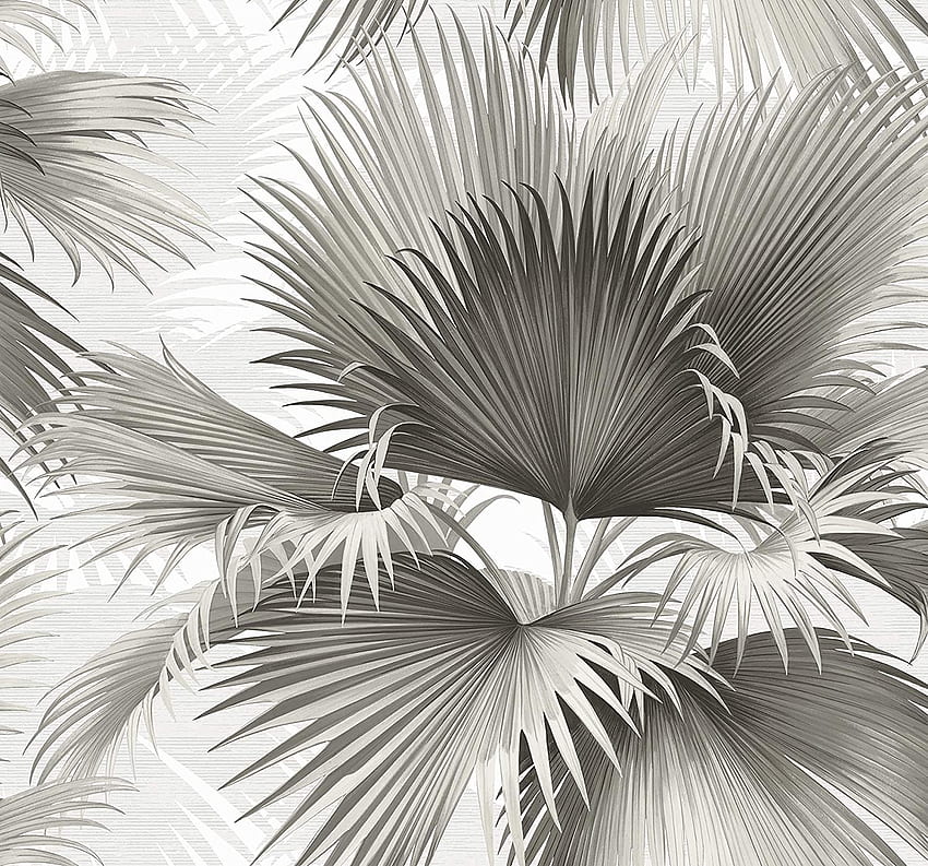 Kenneth James 2927 40100 Summer Palm Tropical , Grey, 2 Piece : Clothing, Shoes & Jewelry, Summer Palm Trees HD wallpaper