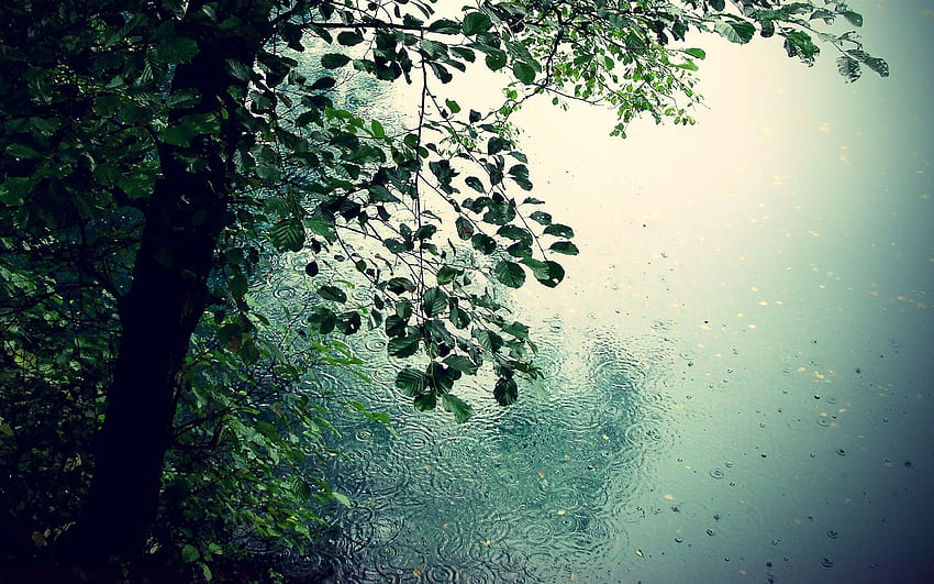Rain Background. Steampunk Train, Window Rain HD wallpaper