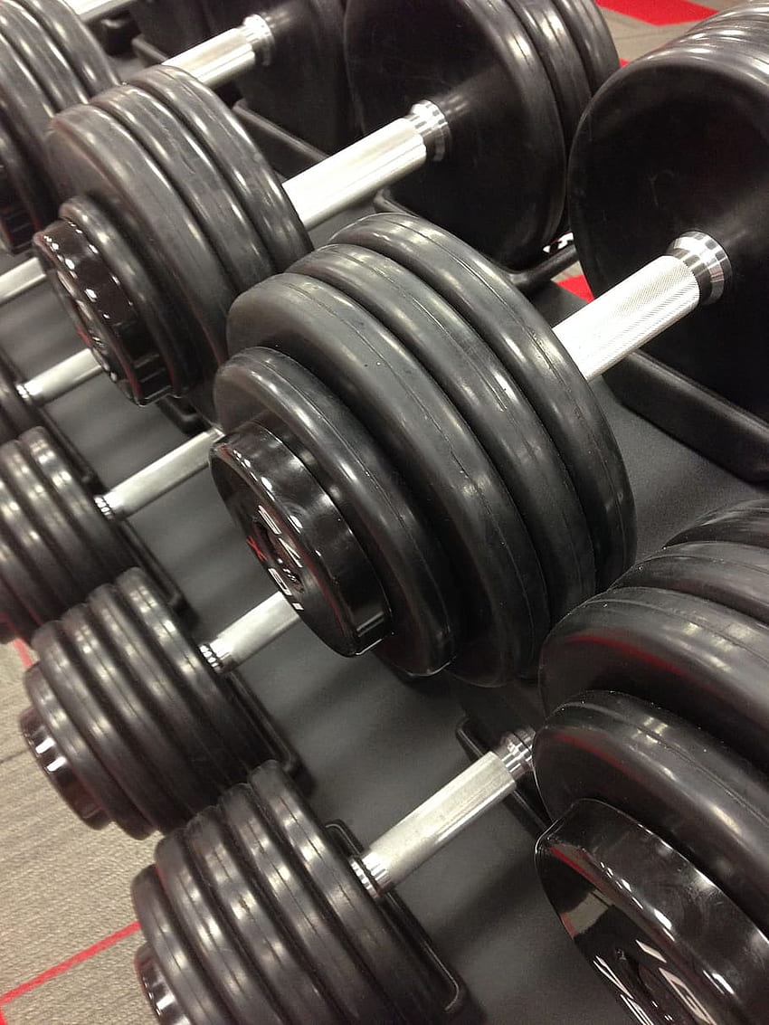 Dumbbell Photos Download The BEST Free Dumbbell Stock Photos  HD Images