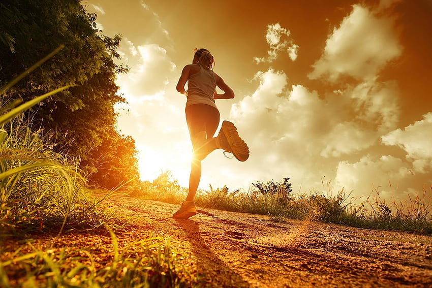 Jogging In The Morning High Quality HD wallpaper
