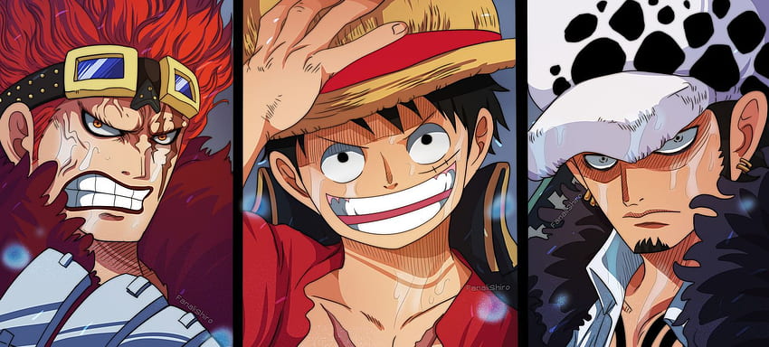 ONE PIECE: the worst generation meets Spongebob in an epic crossover 〜 Anime Sweet HD wallpaper