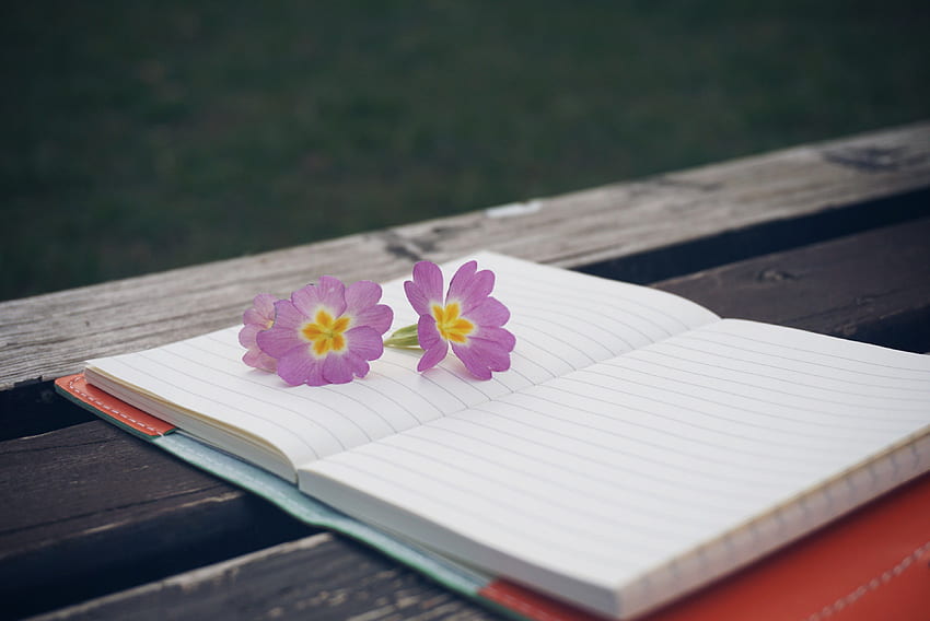 / bench flower notebook pen wooden notepad HD wallpaper