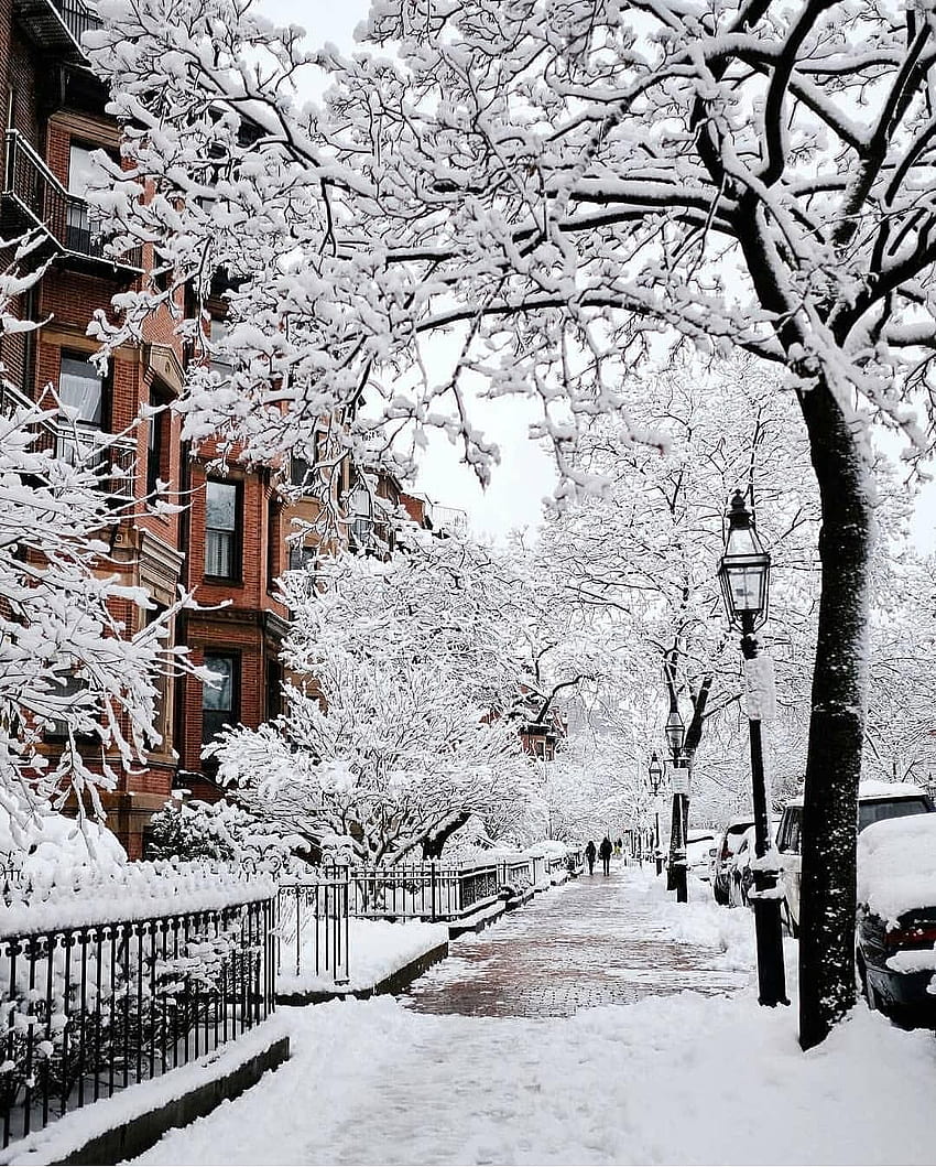 冬のポートレート ❄️ ボストン、マサチューセッツ州、アメリカ合衆国。 . 冬の風景、冬、冬の風景、ボストンの雪 HD電話の壁紙
