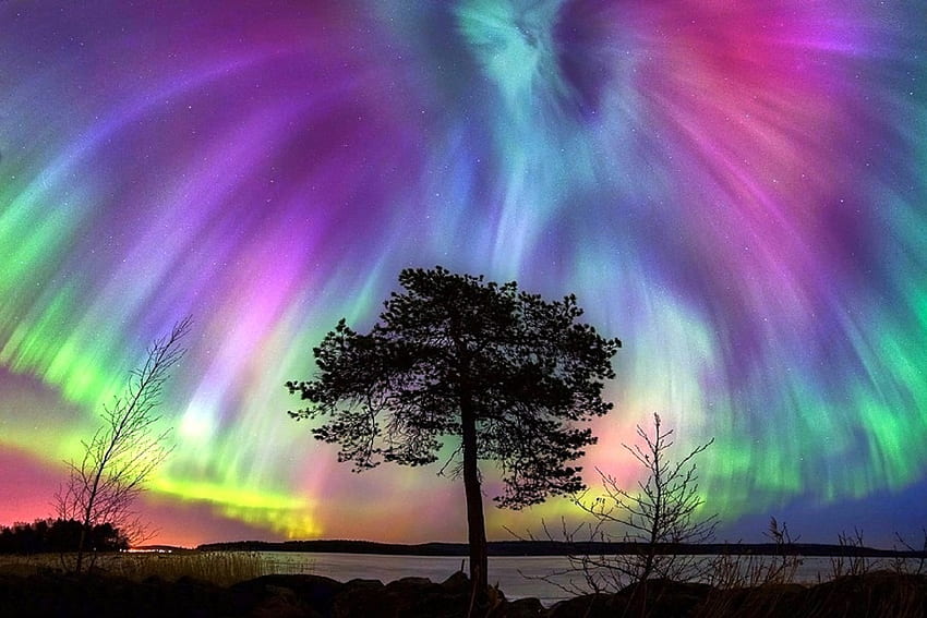Kembang Api Aurora, danau, graphy, atraksi dalam mimpi, cuaca, pohon, langit, alam Wallpaper HD