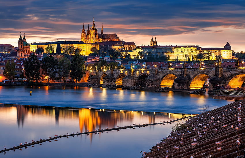 Cities, City, Bridge, Prague, Czech Republic, Czechia, Praha, Czech HD wallpaper