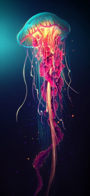 Jellyfish Aesthetic Wallpapers  Top Free Jellyfish Aesthetic Backgrounds   WallpaperAccess