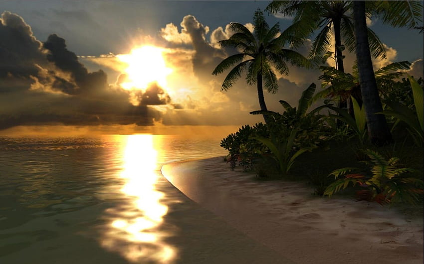 Strand-Sonnenuntergang, golden, Palme, Wolken, Natur, Sonnenuntergang, Ozean HD-Hintergrundbild