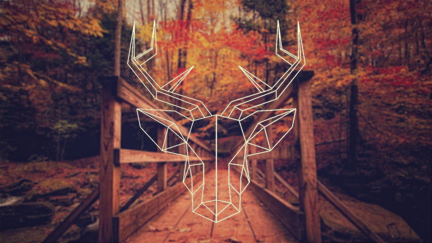 fall, Deer, Polygon art, Hipster graphy, Simple / and Mobile Background, Autumn Deer HD wallpaper