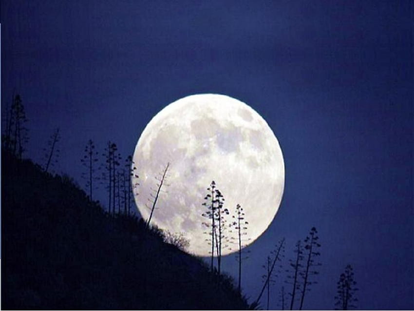 Jasny księżyc, noc, biel, księżyc, niebo, ciemność Tapeta HD