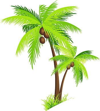 Cartoon palm tree HD wallpapers | Pxfuel