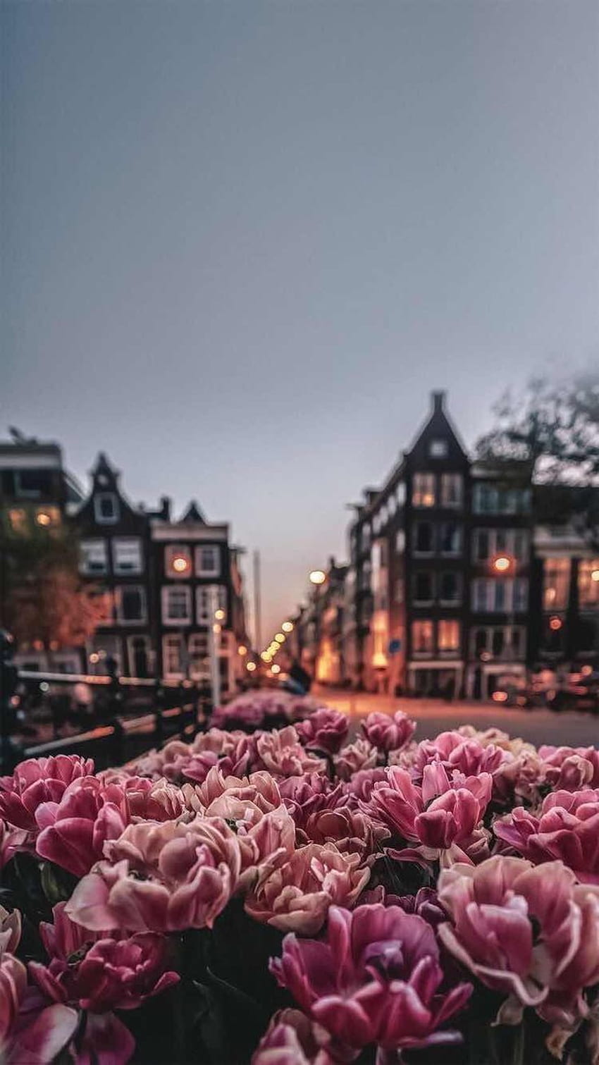 Top 10 Most Romantic Destinations in Europe – The Barefoot Explorer. Flower phone , Beautiful flowers , graphy, Spring in Europe HD phone wallpaper