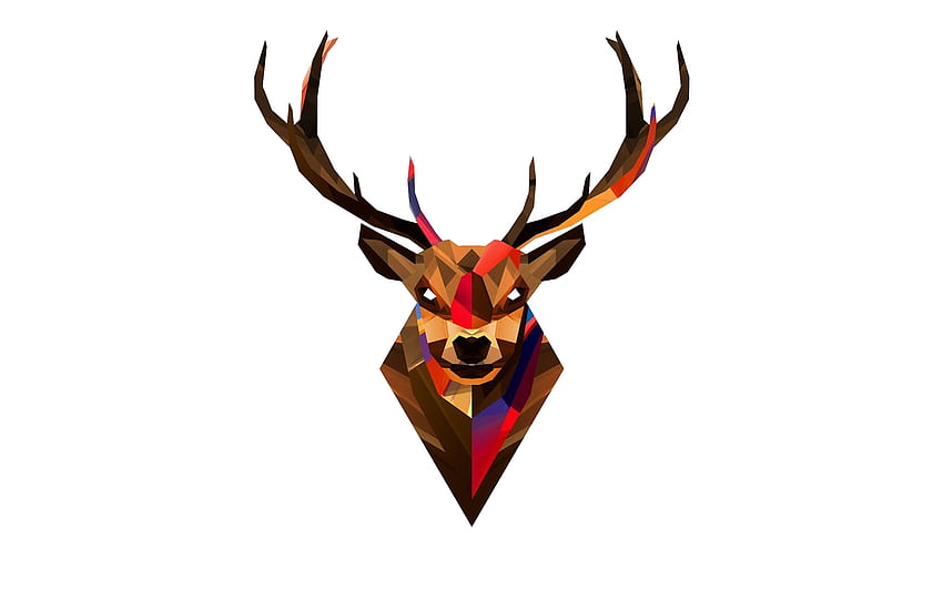 Red deer Head Antler - Deer Head Transparent Background png - 1920*1200 - Transparent Deer png . - Clip Art Library HD wallpaper